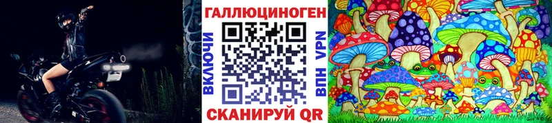 Купить где  Жердевка  Галлюциногенные грибы мицелий 